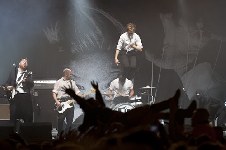 The Hives