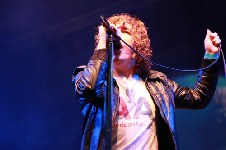 The Pigeon Detectives