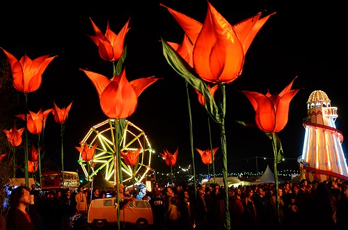 Shambala Festival 2013 - around the festival site (2)