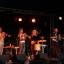 Brass Monkey, The Willows,  and Oysterband for 30th Ely Folk Weekend