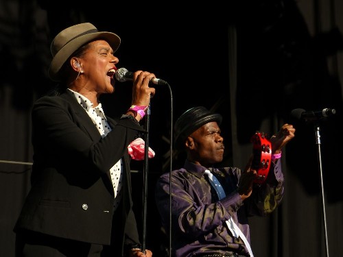 Jersey Live 2014 - The Selecter