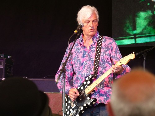 Musicport 2014 - Robyn Hitchcock