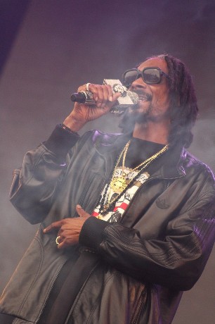 <s>Another World Festival</s&g.. 2014 - Snoop Lion