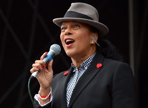 Watchet Live 2015 - The Selecter