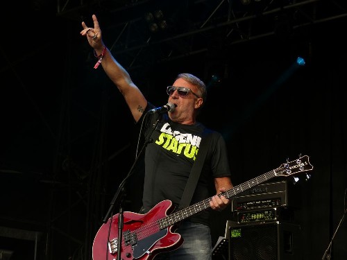 Willowman Festival 2015 - Peter Hook And The Light