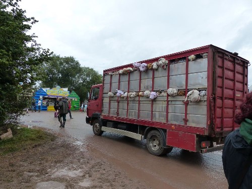 Banksy: Glastonbury Festival 2014