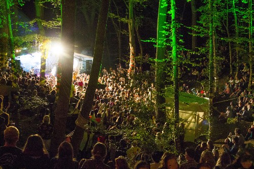 In The Woods 2016 - around the festival site (night time)