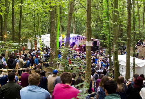 In The Woods 2016 - around the festival site