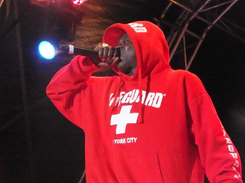 The Mostly Jazz Festival 2015 - Public Enemy