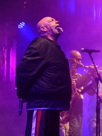 Weyfest 2016 - Bad Manners