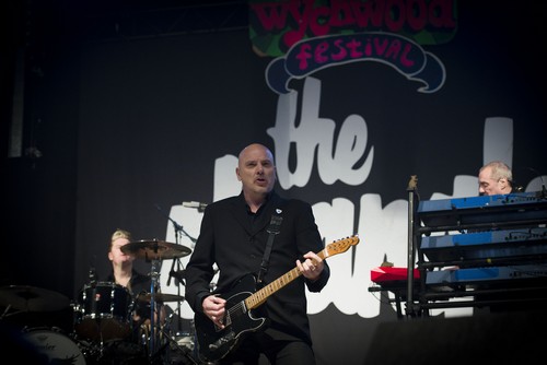 Chagstock 2016 - The Stranglers