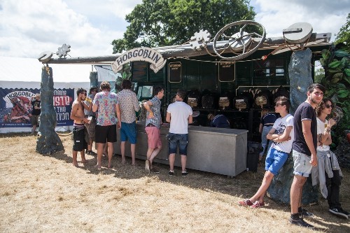 around the festival site: Blissfields 2015