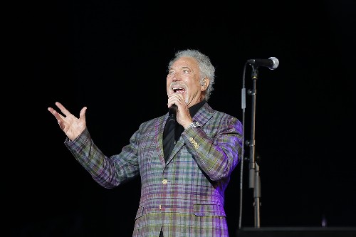 Tom Jones in the Forest 2016 - Tom Jones