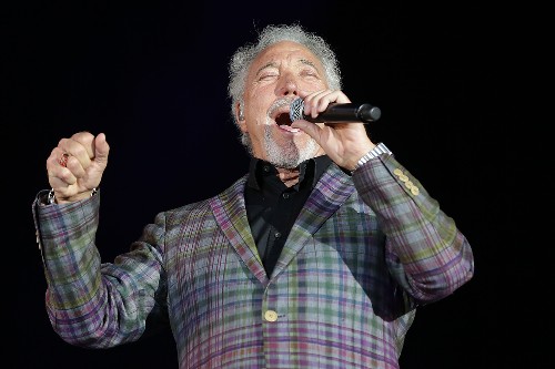 Tom Jones in the Forests 2017 - Tom Jones