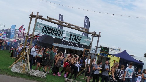 around the festival site: Victorious Festival 2015