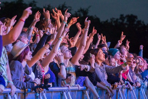 around the festival site: 2000trees Festival 2016