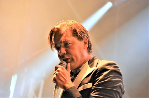 The Hives