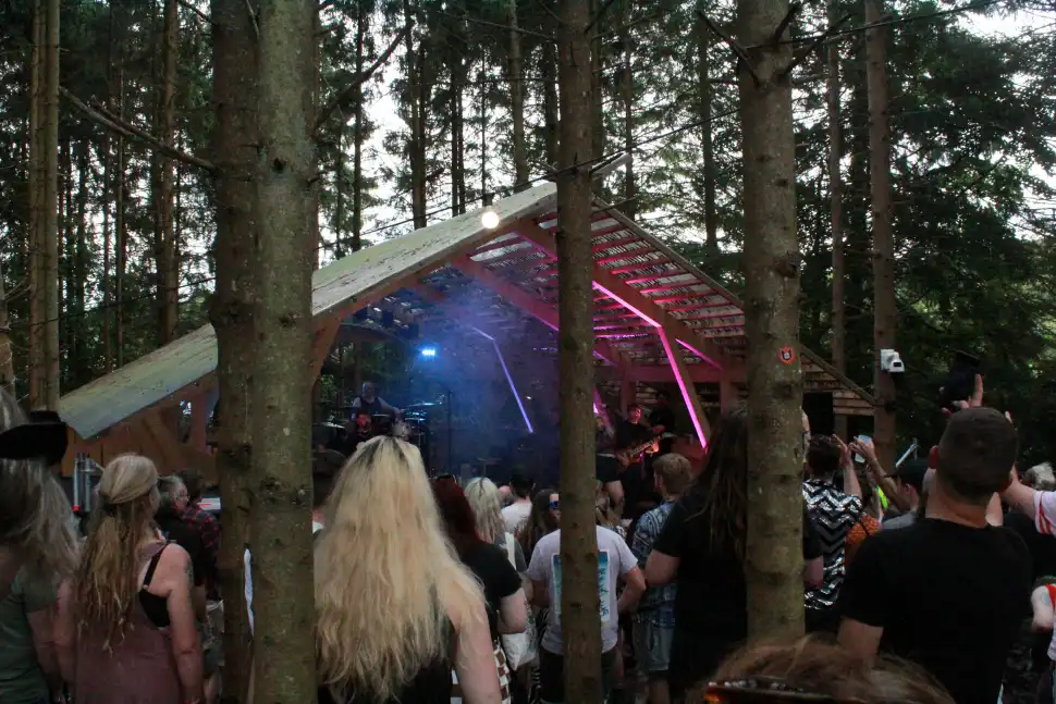 2000trees Festival 2025 - crowd