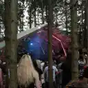 2000 Trees: Hot Milk to Headline Wednesday + 34 More Acts