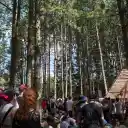 2000 Trees Festival 2025 Review - Highlights & Experience
