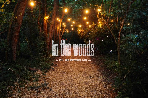 In The Woods - CANCELLED 2017 - In The Woods Festival publicity shot