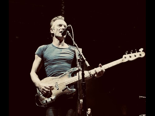 Sting - Forest Live 2024 - Sting Forest Live