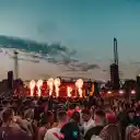 Mint Festival 2025