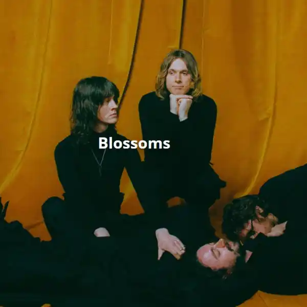 Blossoms - Forest Live Delamere 2025