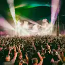 Reminisce Festival 2026