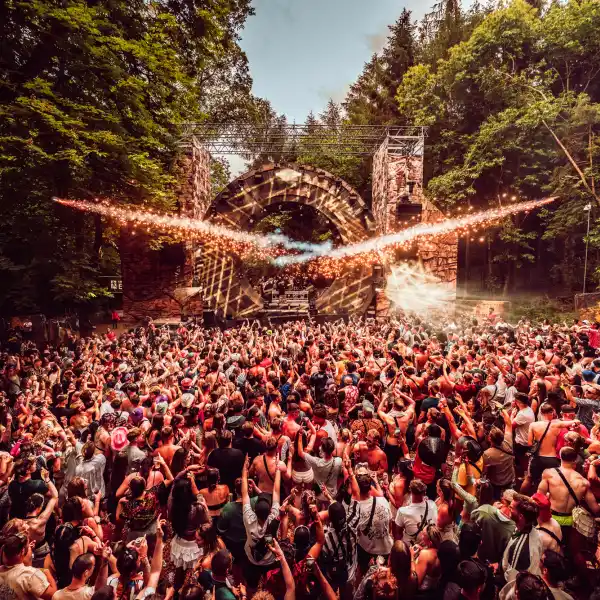 Forbidden Forest 2026