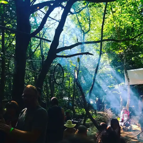 Into The Wild 2026
