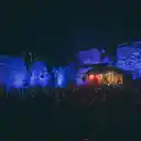 Down at the Abbey 2026